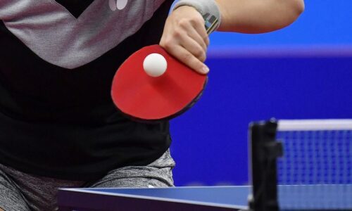 Stolný tenis-EP: Vyhne nezvládli prvý štvrťfinálový zápas, proti Lille neuhrali ani bod