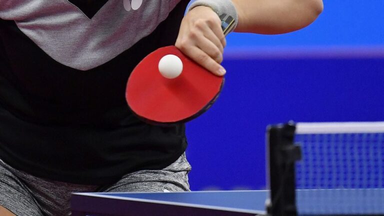 Stolný tenis-ep: vyhne nezvládli prvý štvrťfinálový zápas, proti lille neuhrali ani bod