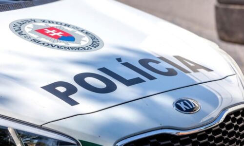 Tragédie v Levicích: V bytě našli dvě mrtvá těla, policisté zadrželi podezřelého