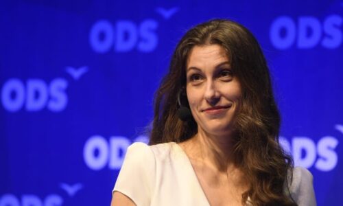 Ubožáku, je to prasárna: Decroix vrací úder europoslanci ANO, zpochybnil dopis s přáním smrti