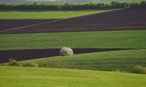 Zavedie sa nový register užívacích vzťahov: Ako zasiahne do života farmárov a vlastníkov pôdy?