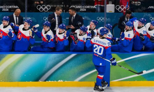 Nemáte šancu na boj o medaily, vravel expert. teraz česi velebia výkon slovenska