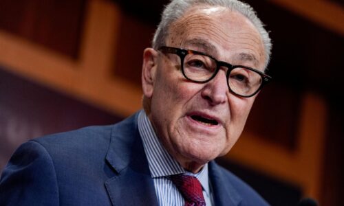 Senát zablokoval financovanie amerického ministerstva. Demokrati žiadajú obmedzenie protiimigračných operácií