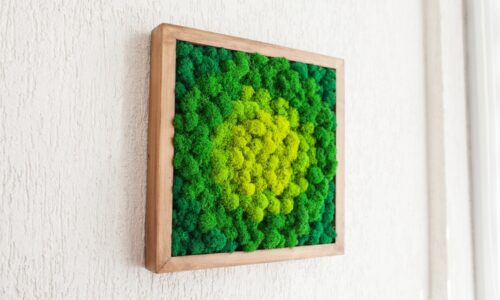 Machové obrazy – trend, ktorý sa hodí do každého interiéru!