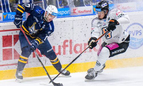 Nitra získala hráča, po ktorom túžila už dávnejšie. v zámorí bol najproduktívnejší hráč súťaže