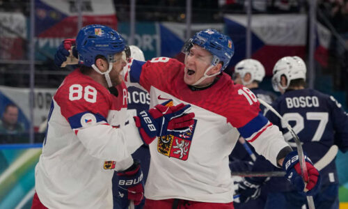 Povinnost splněna. Češi po boji udolali Francii, výhra 6:3 se ale rodila těžce