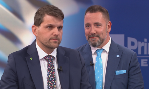 Hladík: Macinka by se měl v povolenkách spojit s Nerudovou. Nelze jí věřit, namítá Červený