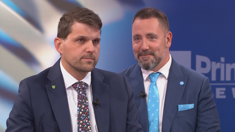 Hladík: macinka by se měl v povolenkách spojit s nerudovou. nelze jí věřit, namítá červený