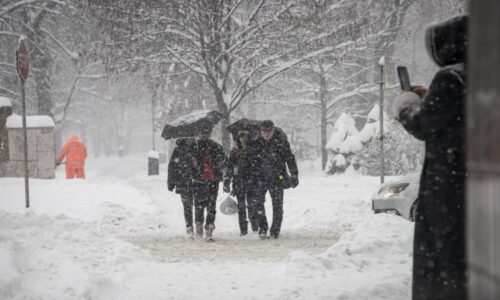 V Česku napadlo až 15 cm sněhu. MAPA ukazuje, kde a kdy přijde další bílá nadílka
