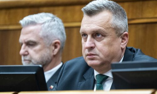 Danko má dosť legislatívnych návrhov v zrýchlenom režime, chce ich čo najmenej. Odmieta aj presúvanie