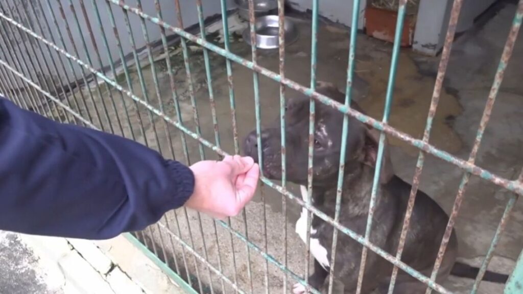 Rozhodli sa podeliť