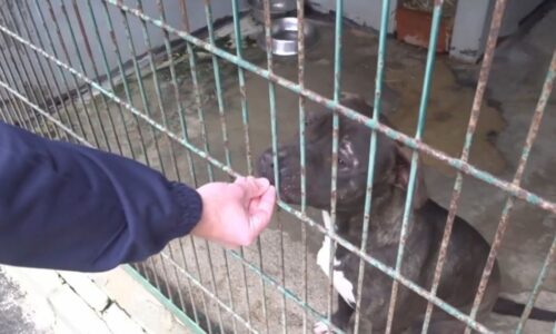 Rozhodli sa podeliť