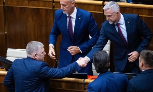 Fico čakať nechce, Ústavný súd musí