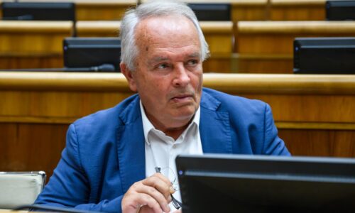 Radačovský už mal šéfovať na Cypre. Stále však čaká na Pellegriniho, o náhodné zdržanie nemá ísť