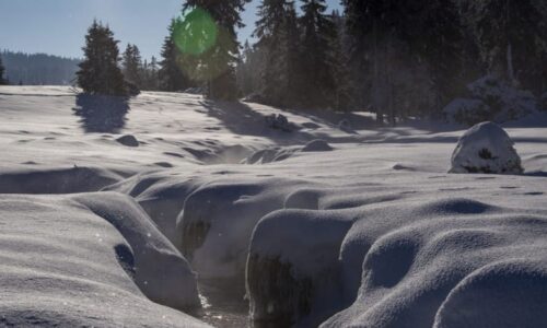 Šumava hlásí přes metr sněhu, jde o letošní rekord. MAPA ukazuje další bílé oblasti