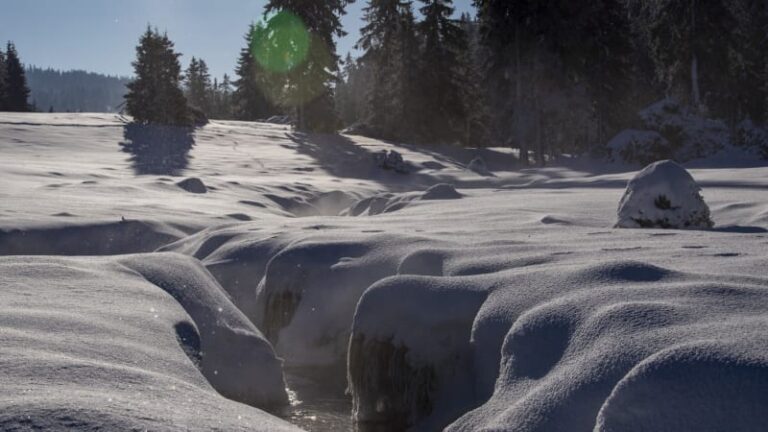 Šumava hlásí přes metr sněhu, jde o letošní rekord. mapa ukazuje další bílé oblasti