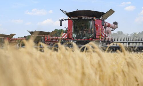 Dôležité je dať podnikaniu pridanú hodnotu, hovorí odborník na výzvy