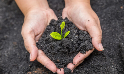 Ešte stále je možné zaregistrovať sa na bezplatné prevzatie kompostu