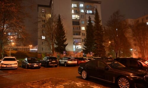 Strašlivý řev, který náhle utichl. Svědci popsali dění před vraždami ve Vranově nad Topľou