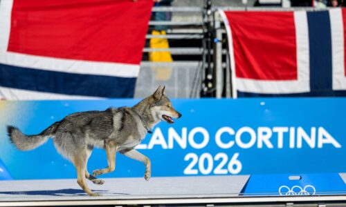 + olympiáda so závanom pána prsteňov aj československa. príbeh psieho narušiteľa je známy