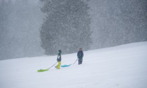 Česko sevřou mrazy a sněžení, brzy ale přijde zlom. RADAR ukazuje, jak bude u vás