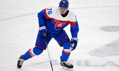 Pospíšil naznačil, čo by malo platiť na USA. Tvrdí, že je to neskutočná šanca na medailu