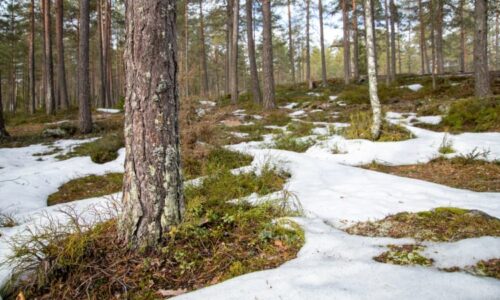 Teploty vystřelí o více než 10 stupňů. MAPA ukazuje enormní rozdíly po celém Česku