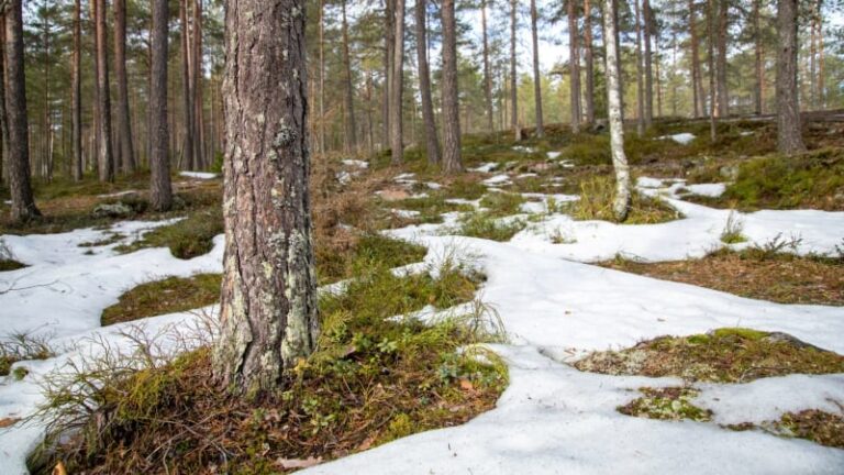 Teploty vystřelí o než 10 stupňů. mapa ukazuje enormní rozdíly po celém česku