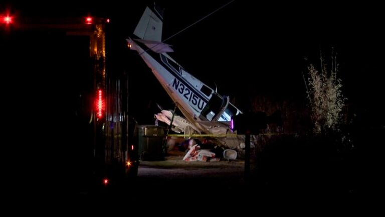 Manželský pár zemřel při letecké havárii v texasu. katastrofu zázrakem přežil jejich pes