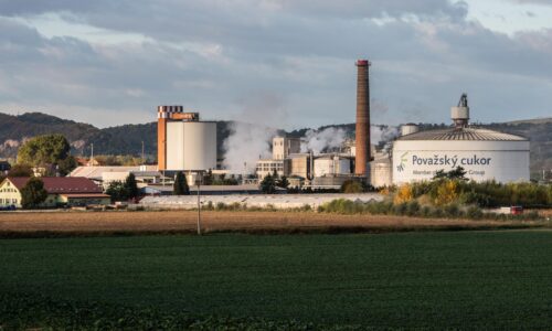 Pád cukrovaru zasadil ranu vidieku. Desiatky farmárov sú nútení skončiť a volajú po odškodnení