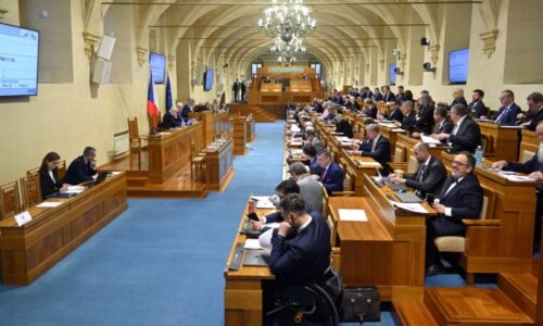 Vláda řeší, jak na senátní volby. Ve hře jsou jeden i dva společní kandidáti pro daný obvod