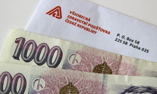 Uprchlíci se pojišťovně vyplatí. VZP na nich loni vydělala přes pět miliard, péče stála méně