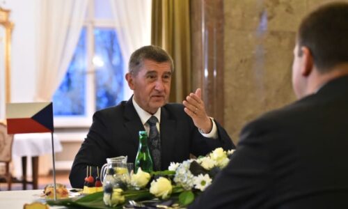 Akcie Agrofertu jsou v rukou RSVP Trust. Dostál jsem zákonu o střetu zájmů, míní Babiš