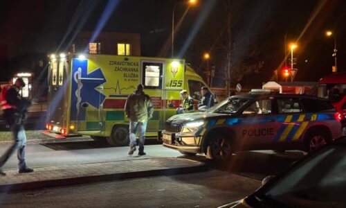 Manévry v Praze: Policisté zadrželi cizince kvůli násilné trestné činnosti. Byl od krve