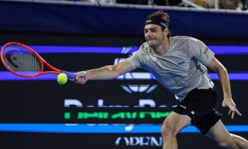 Atp delray beach: uvidíme americké semifinále. fritz do zbierky ďalší titul nepridá