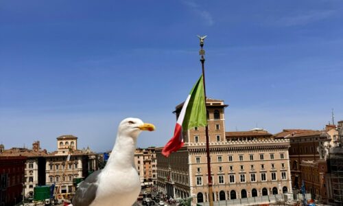 Už tri roky mi neposlali účet za odvoz odpadu, mesačne vám vystačí 1000 eur. Zlomatka opisuje život v Kalábrii