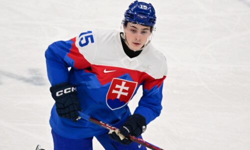 Dalibor dvorský je zdrvený, prehru s fínmi bral ťažko: bolo to rýchlejšie ako v nhl