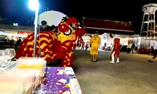 Na zloděje skočil lev. Thajští policisté v převleku muže dokonale překvapili, ukazuje video