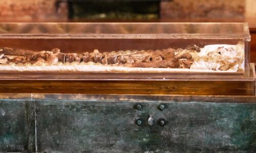 V talianskom Assisi sú oddnes mesiac vystavené pozostatky svätého Františka