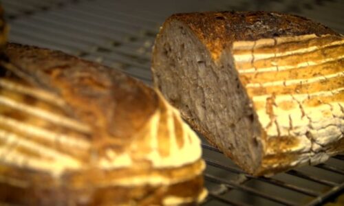 Prima pekařství: Vůně másla a kvásku v centru Plzně. Kde si dopřát nejlepší chléb či bagetu?