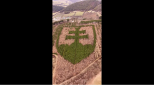 Takýto erb slovenska ste ešte nevideli. roky rástol priamo z rodnej hrude