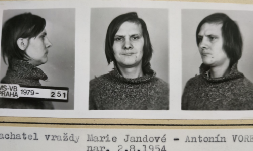 Zabloudila a narazila na kastráta, který nenáviděl ženy. Vorel ji uškrtil a ubodal 34 ranami