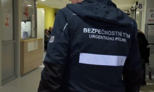 Drsné záběry útoků z nemocnice v Plzni: Muž použil lékařku jako beranidlo, další dával kopance