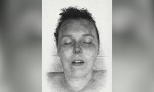 Záhada mrtvé ženy: Kriminalisté prosí o pomoc, tělo leželo v lese u Říčan