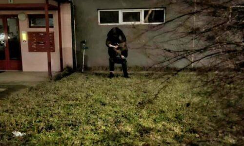 Zápach moči a výkalů. Agresivní sousedka zamořila dům v Olomouci, místní jsou bezbranní