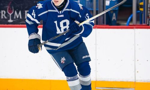 Ohl: ján chovan si vylepšil štatistiky. pri prehre svojho klubu opäť skóroval