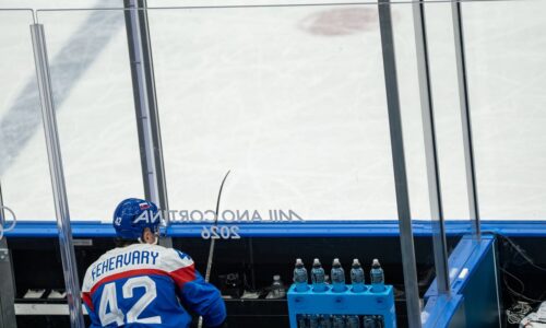 Martin fehérváry vychválil slovenských fanúšikov na zoh 2026. pobláznili aj hviezdy nhl!