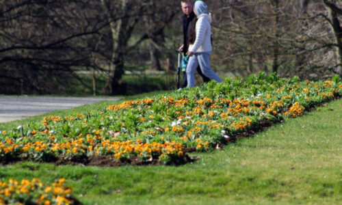 Sledujte RADAR: Slunečno a jarní teploty. Česko čeká teplý závěr února, jak bude u vás?