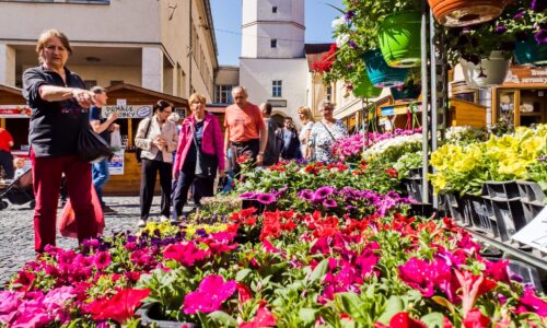 Chcete predávať na majálese? prihláste sa