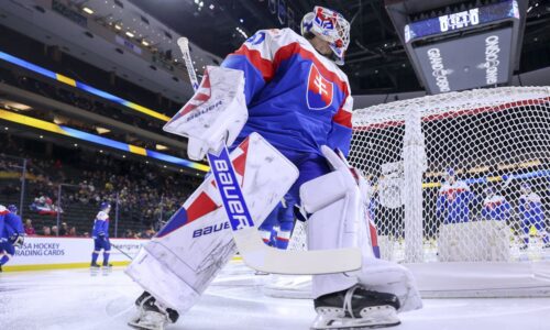 Ushl: slovenský brankár alan lenďák znova hviezdil. pripísal si druhý shutout v rade